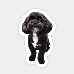 Shih Tzu Black Cute Puppy Dog Sticker
